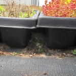 green living roof tray system