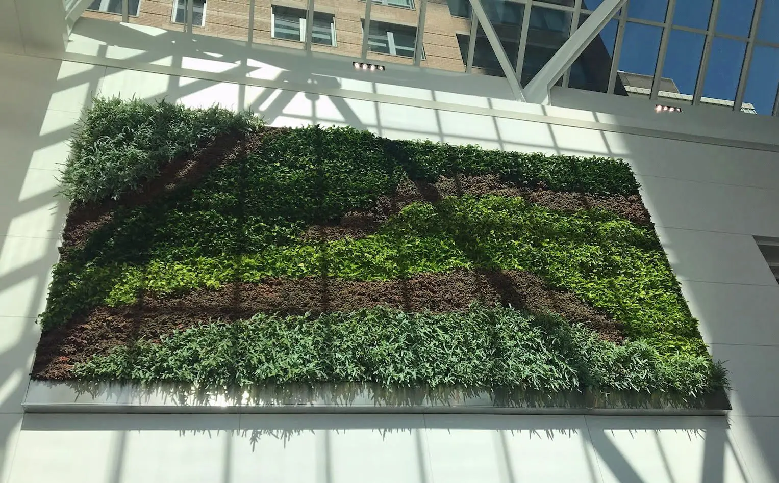 Exhibit B_Pru_Credits Janice Goodman_Cityscape Large indoor vertical garden on a wall with various green and brown plants, under a glass roof with shadow patterns.