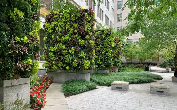 Liberty Mutual Fall 2019_Web Version Urban courtyard with vertical gardens on stone planters, surrounded by lush greenery and trees, with a paved walkway and benches in the foreground.