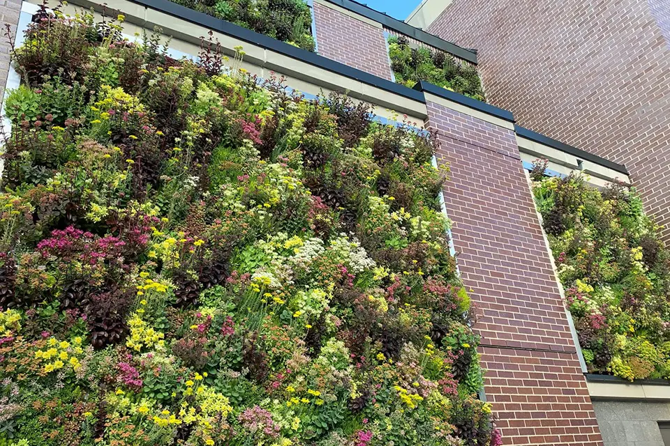 Green Living Tech.