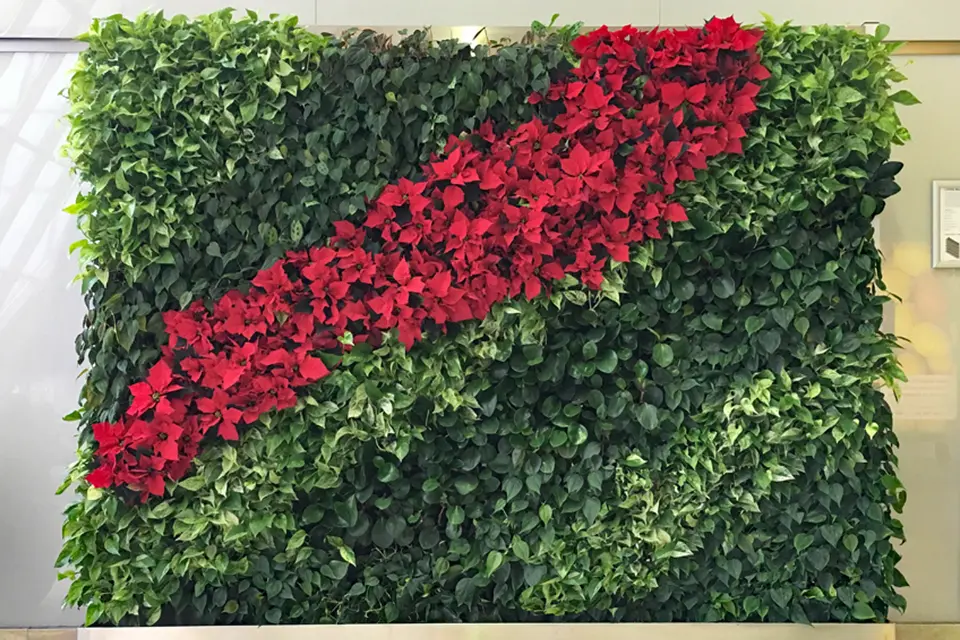 Green Living Tech