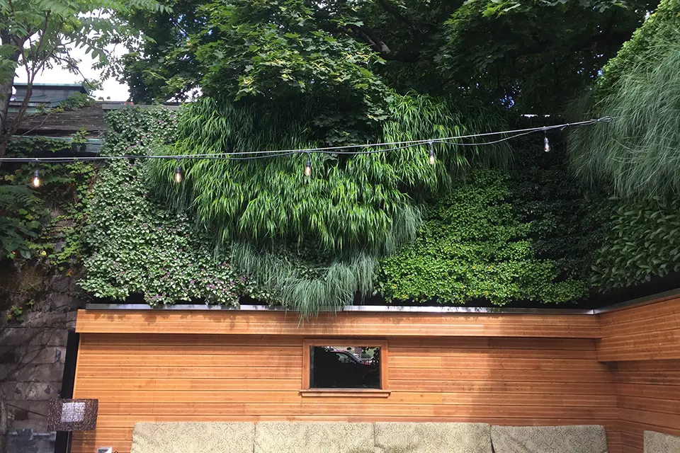 Green Living Tech