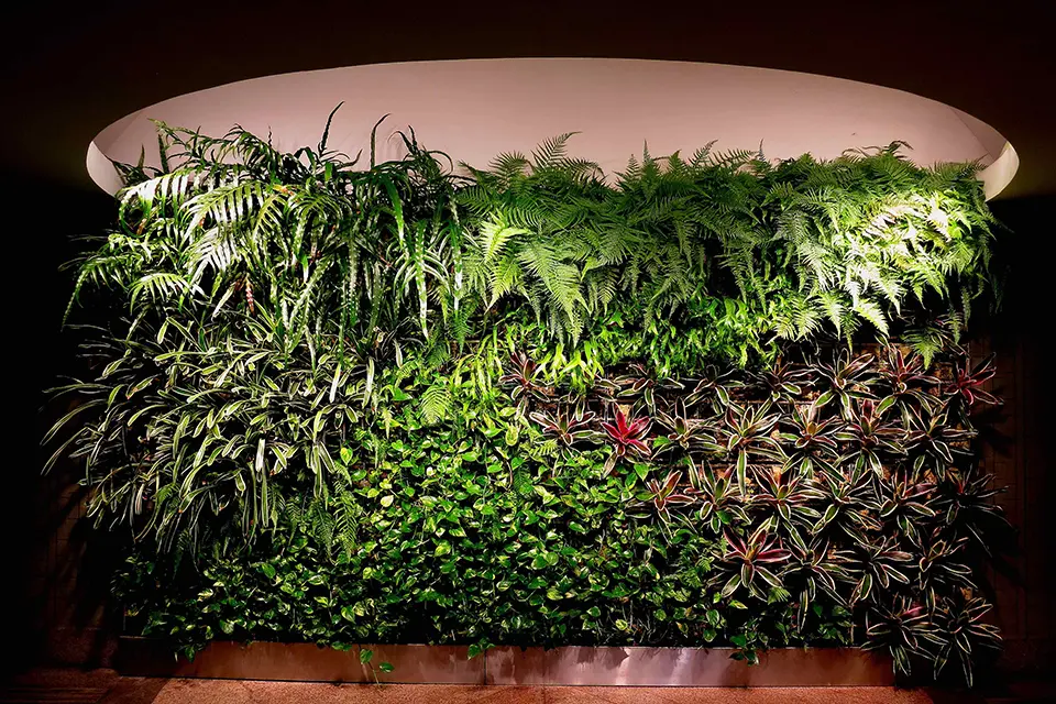 Green Living Tech
