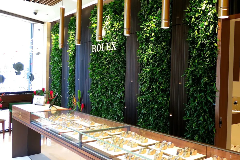 A display case in front of a wall with plants.
