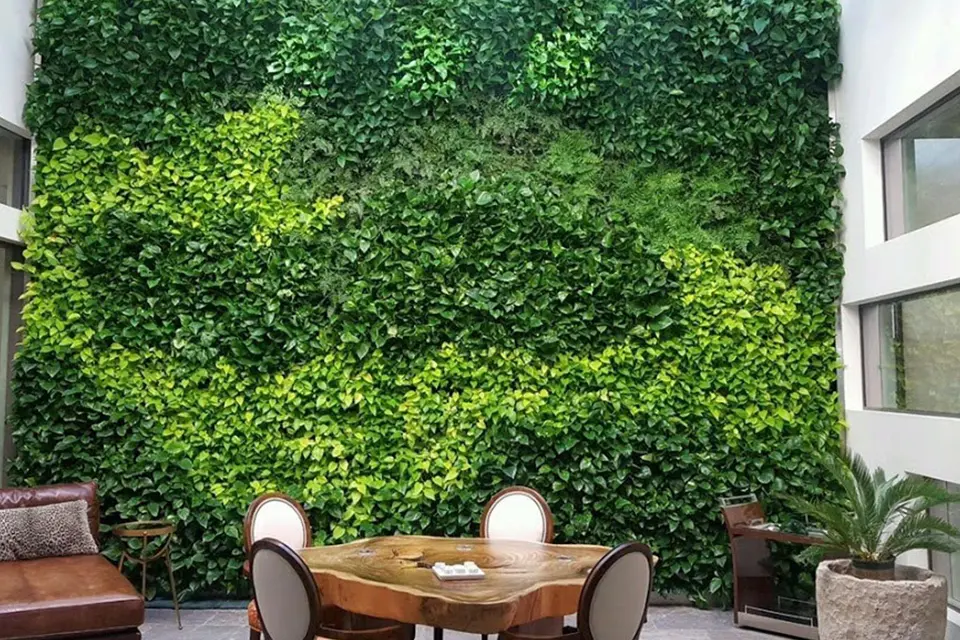 A table and chairs in front of a wall with plants.