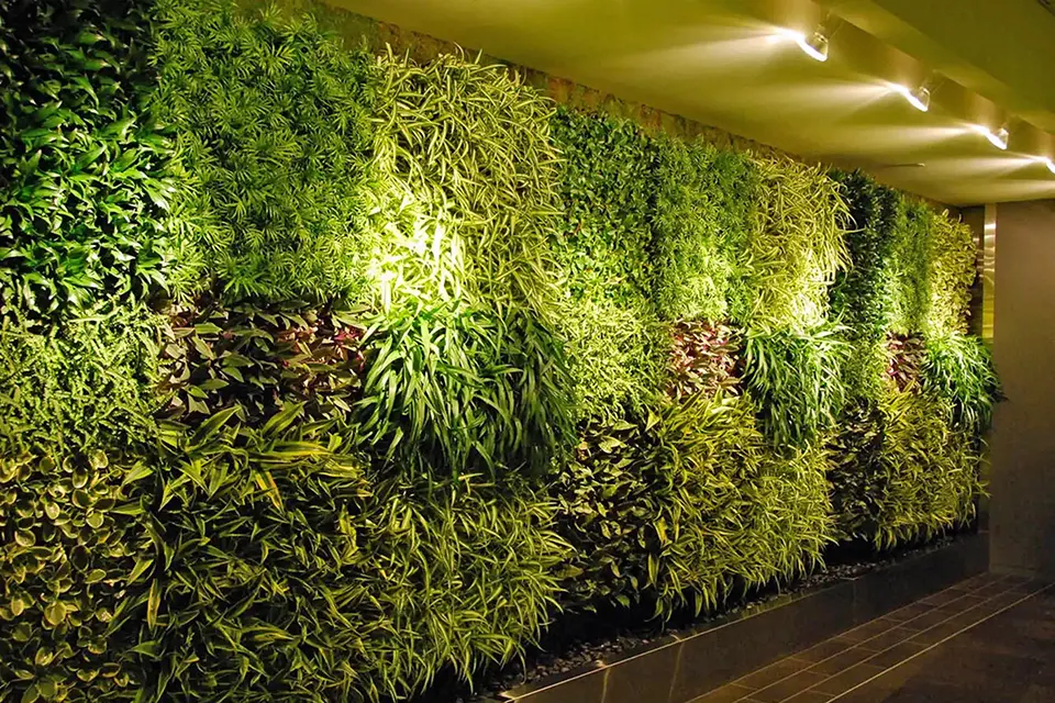 Green Living Tech