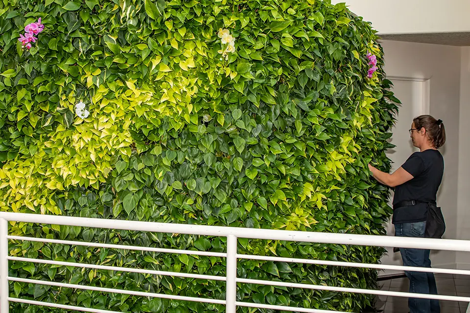 Green Living Tech