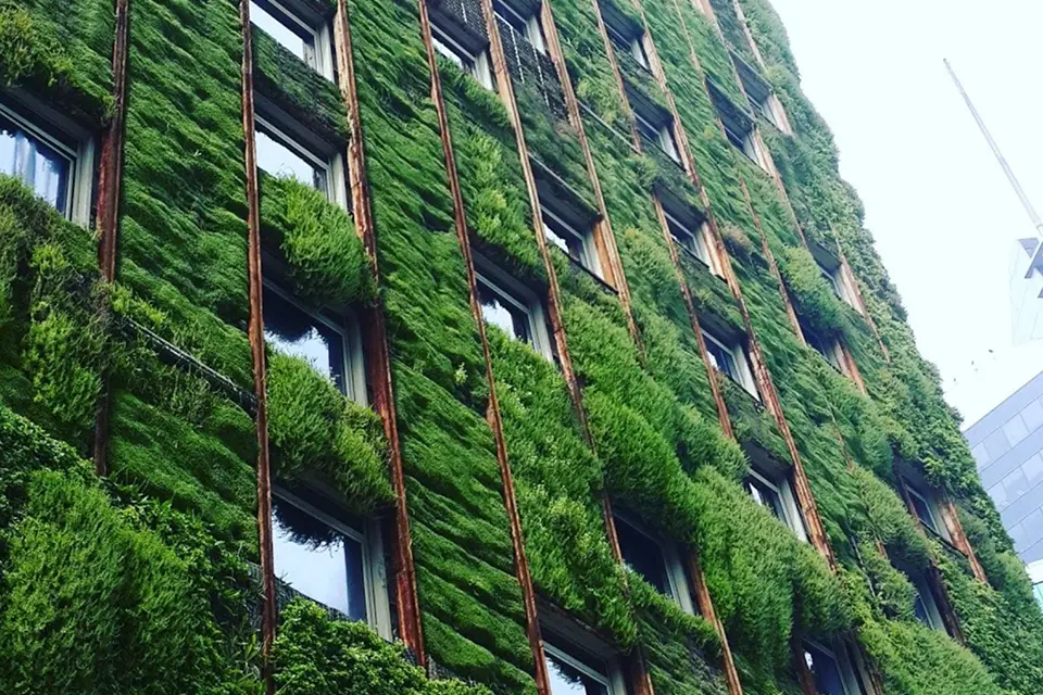 Green Living Tech