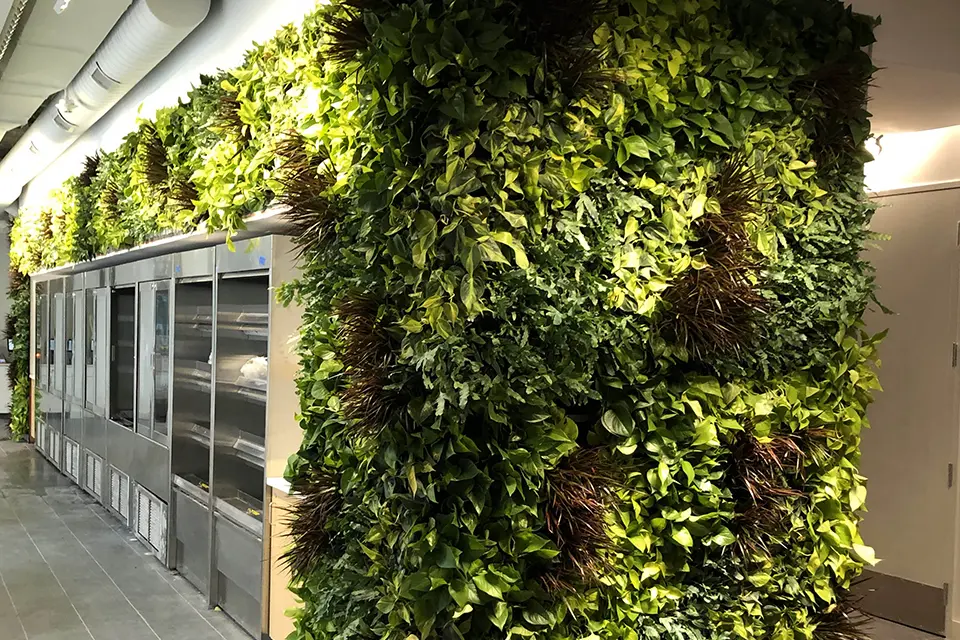 Green Living Tech
